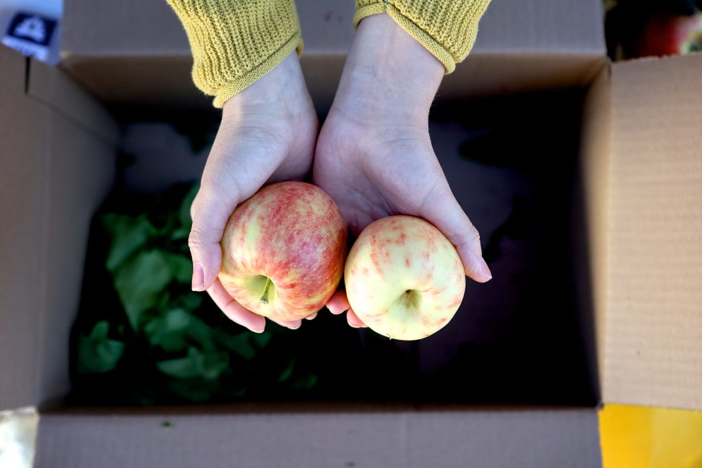 Seasonal Fruit Subscription